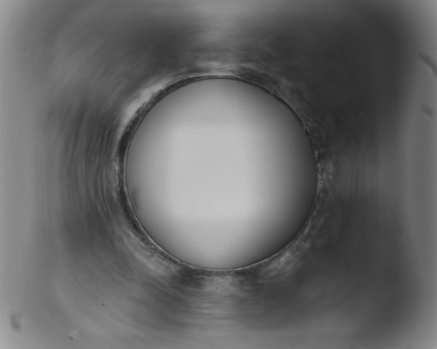 X0000103470342200809261909