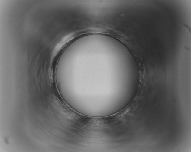 X0000103470343200809261909