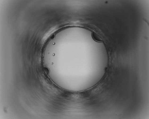 X0000103470344200809261909