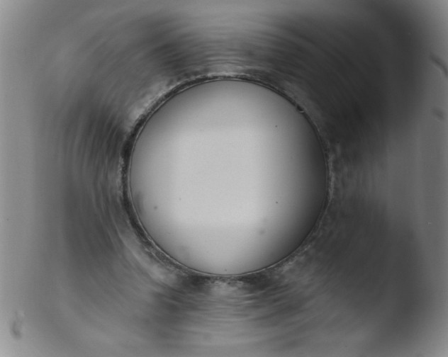 X0000103470346200809261909