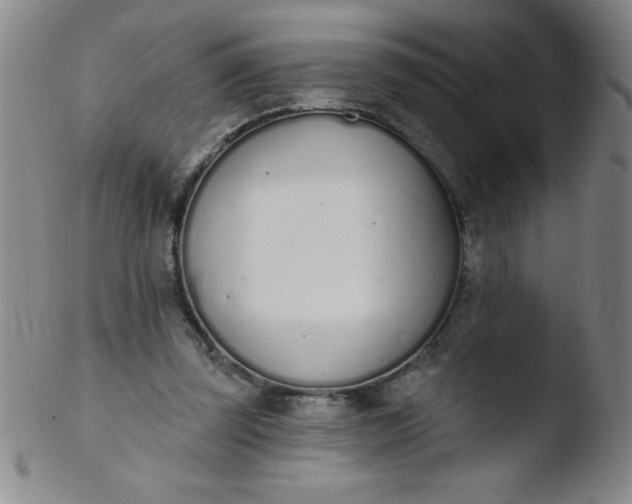 X0000103470347200809261909