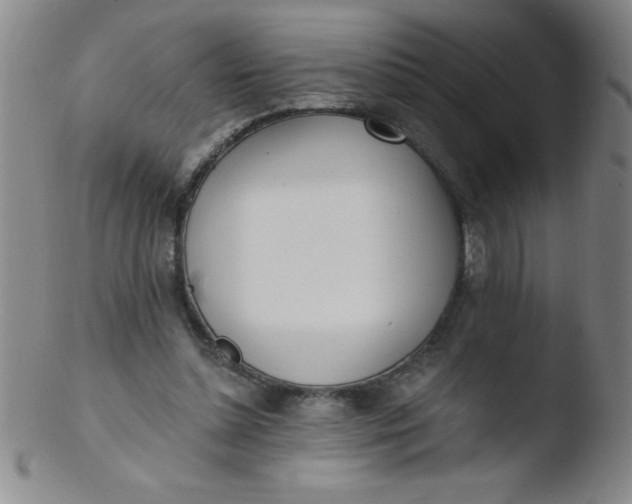 X0000103470348200809261909