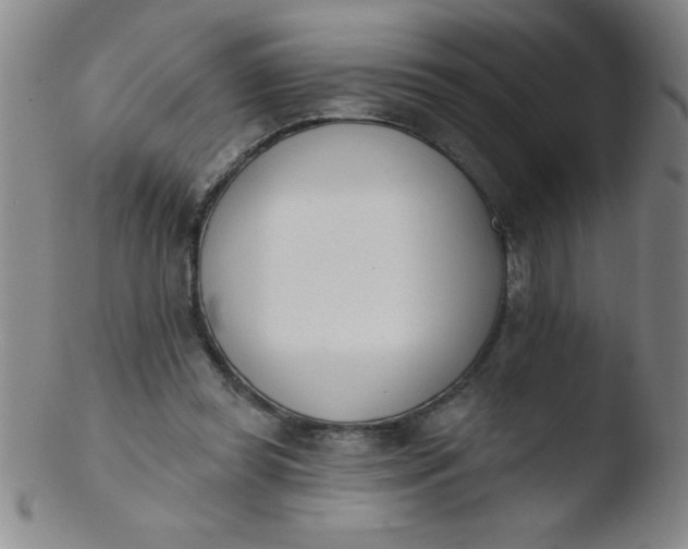 X0000103470349200809261909