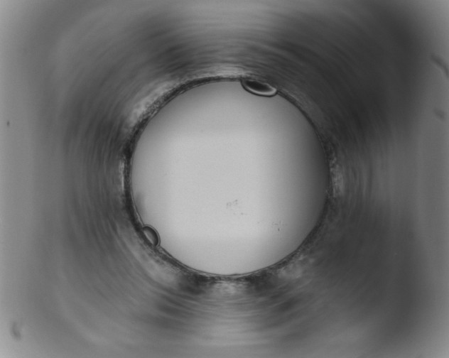 X0000103470350200809261909