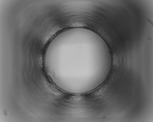 X0000103470351200809261909