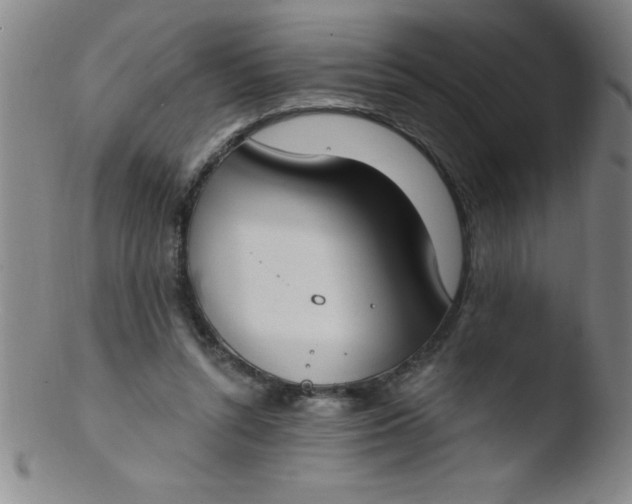 X0000103470352200809261909