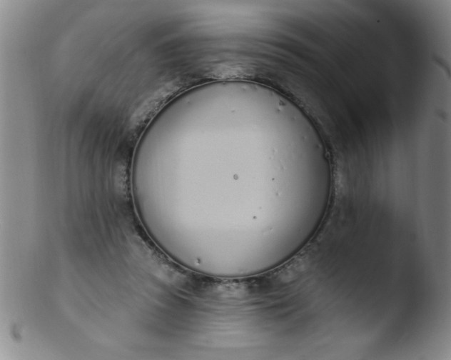 X0000103470353200809261910