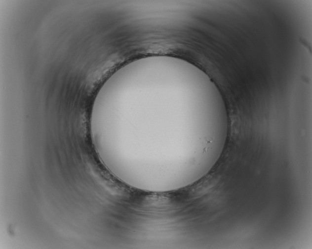 X0000103470354200809261910