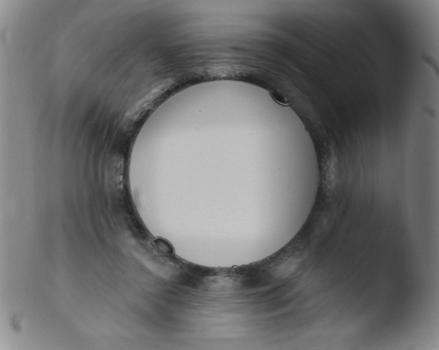 X0000103470356200809261910