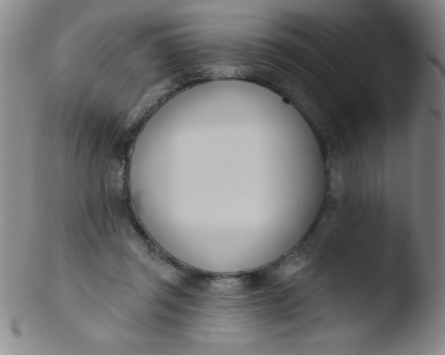 X0000103470357200809261910