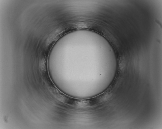 X0000103470359200809261910