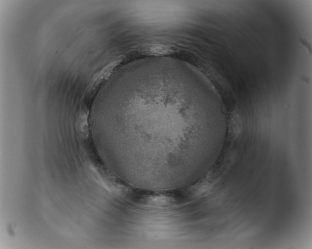 X0000103470360200809261910