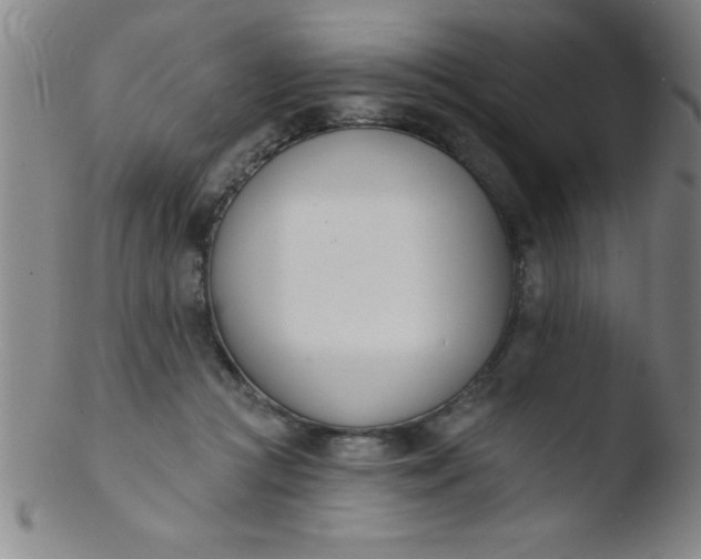 X0000103470361200809261910