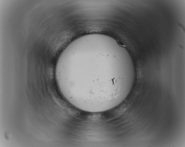 X0000103470362200809261910