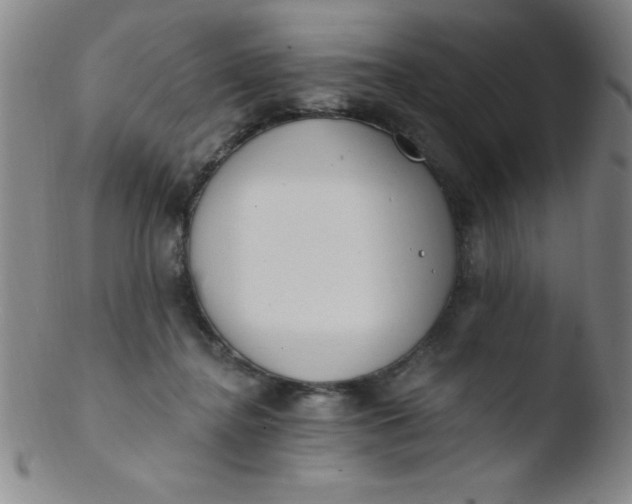 X0000103470364200809261910