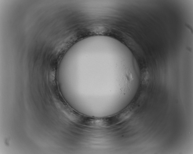 X0000103470365200809261910