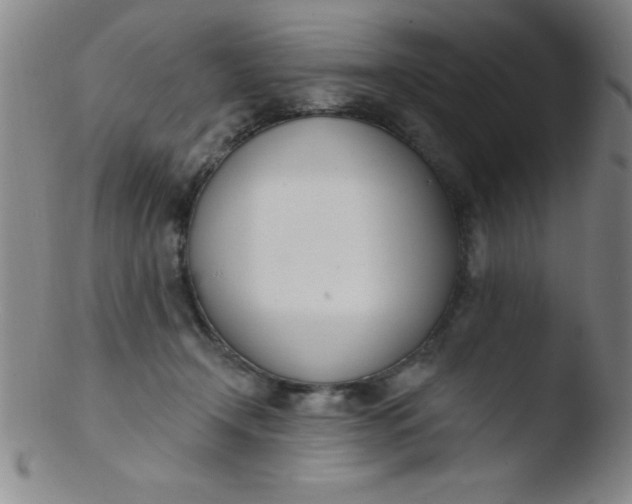 X0000103470366200809261910