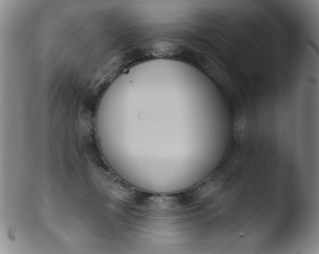 X0000103470367200809261910