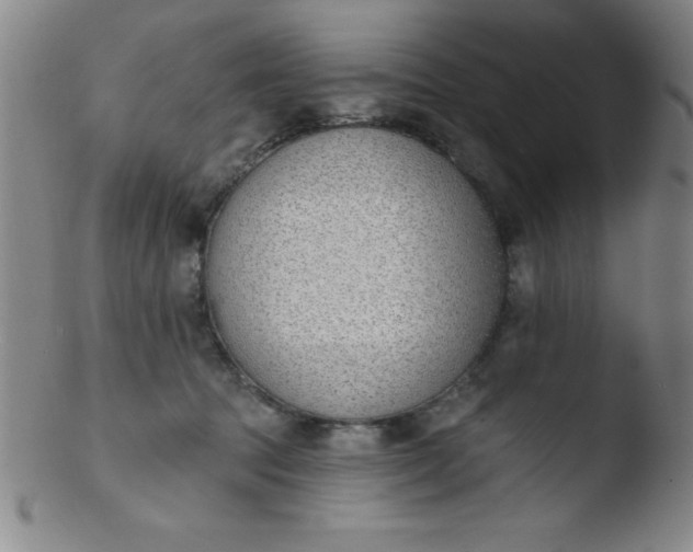 X0000103470369200809261910