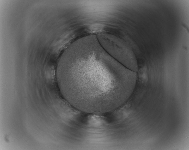 X0000103470372200809261910