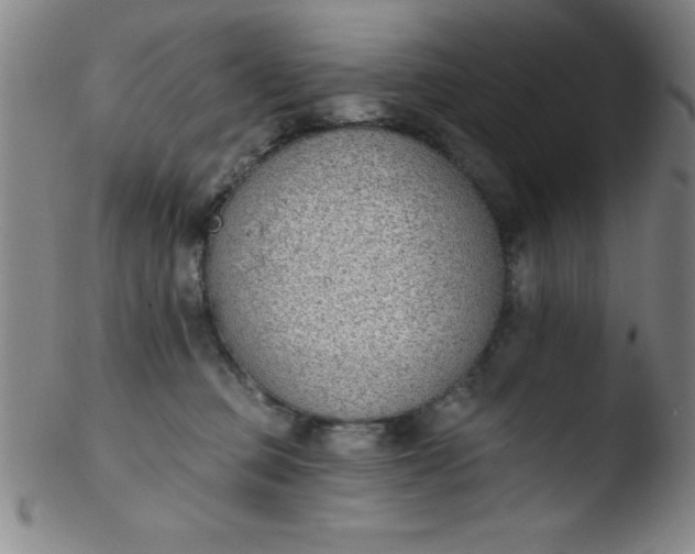 X0000103470373200809261910