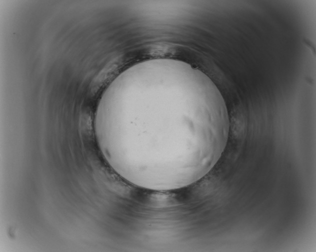 X0000103470375200809261910