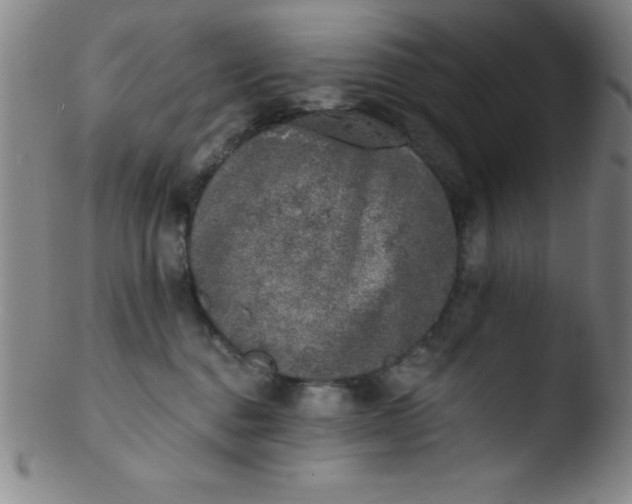 X0000103470376200809261910