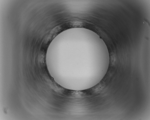 X0000103470379200809261910