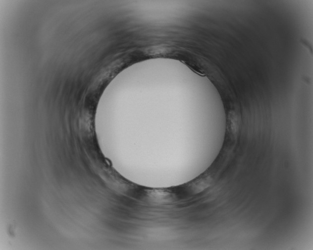 X0000103470380200809261910