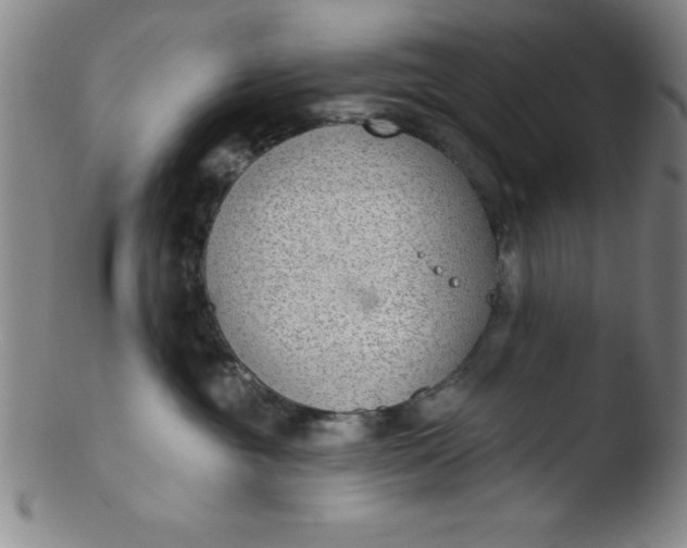 X0000103470381200809261910