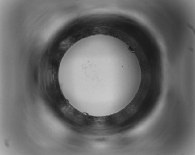 X0000103470382200809261910