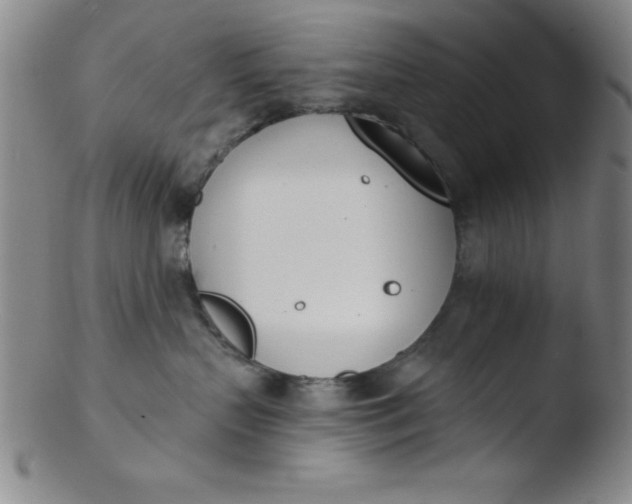 X0000103470383200809261910