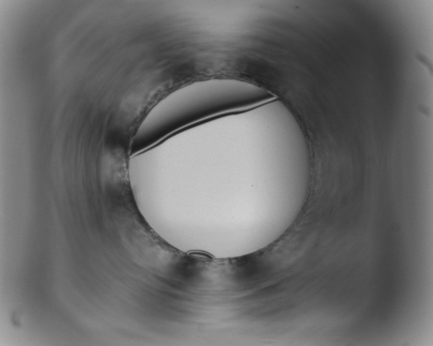 X0000103470384200809261910