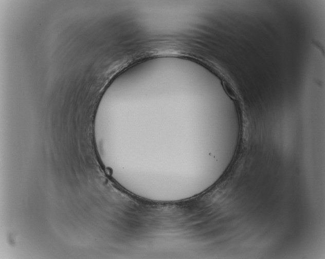 X0000103470385200809261909