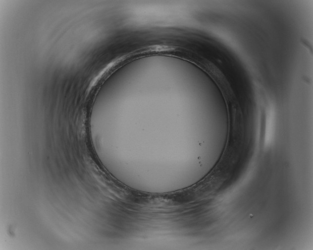 X0000103470387200809261909