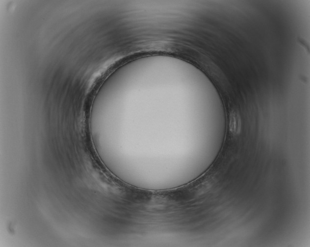 X0000103470388200809261909