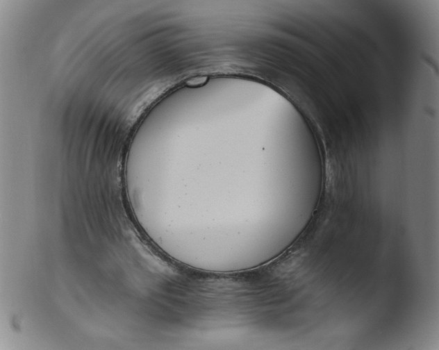 X0000103470389200809261909