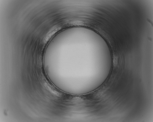 X0000103470390200809261909