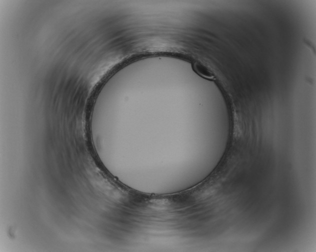 X0000103470391200809261909