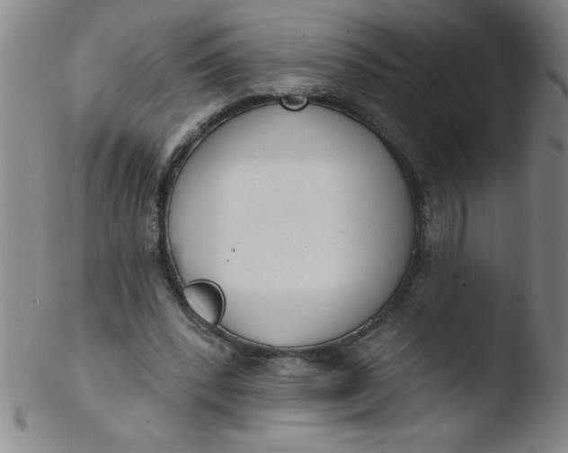 X0000103470392200809261909