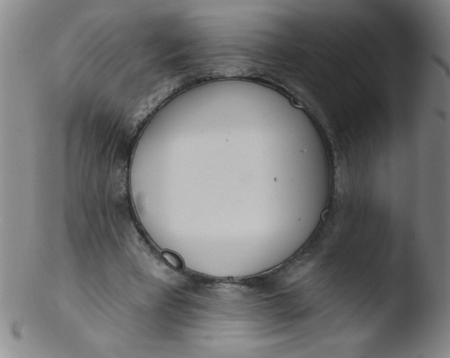 X0000103470393200809261909