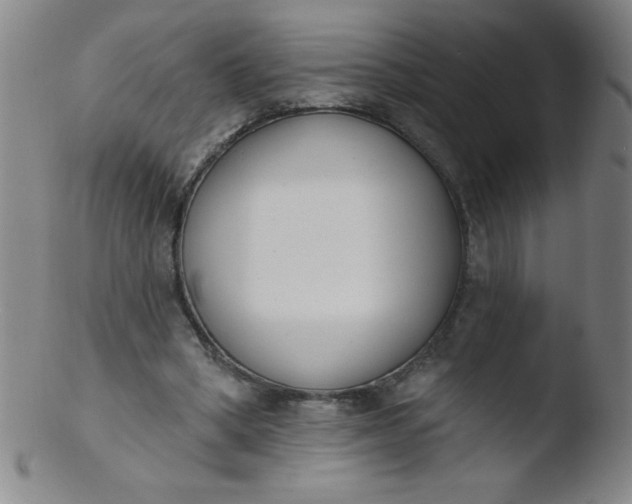 X0000103470394200809261909