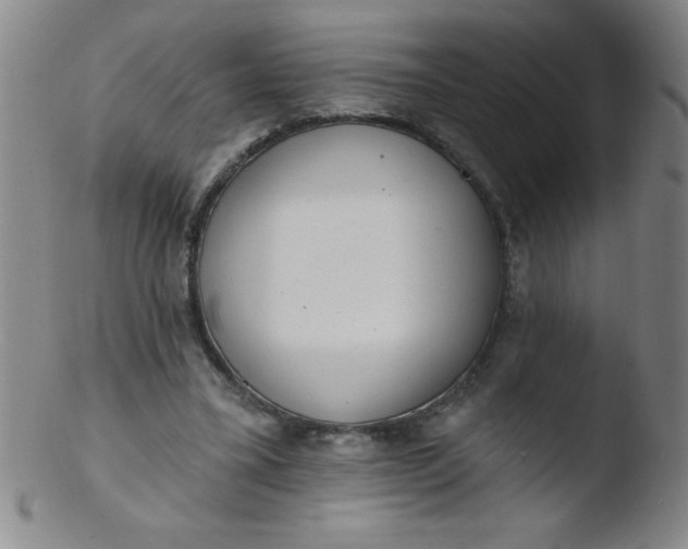 X0000103470395200809261909