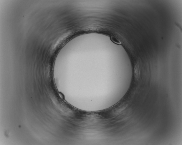 X0000103470396200809261909