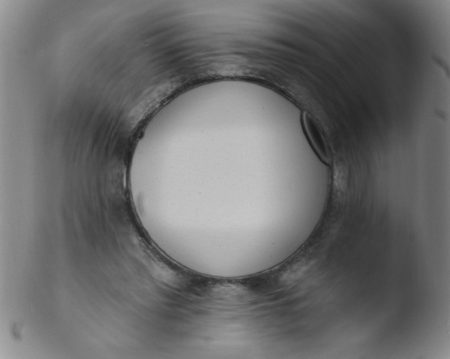 X0000103470397200809261909