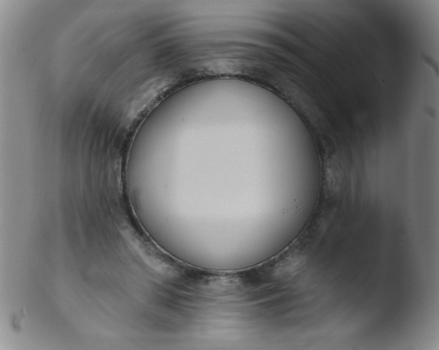 X0000103470398200809261909