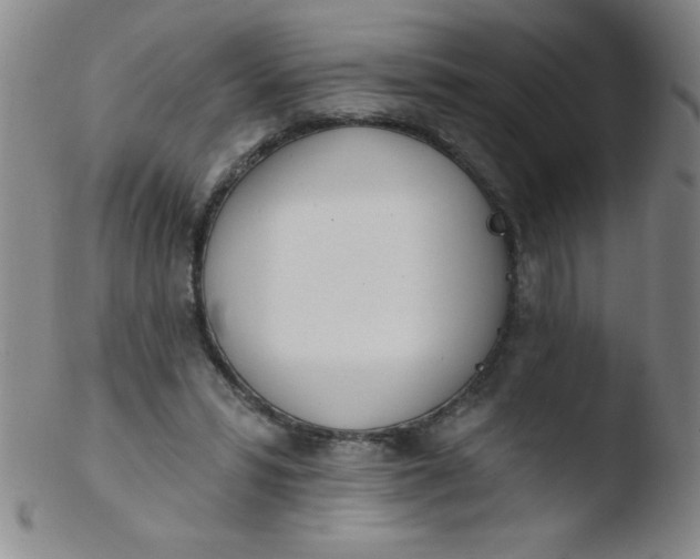 X0000103470399200809261909