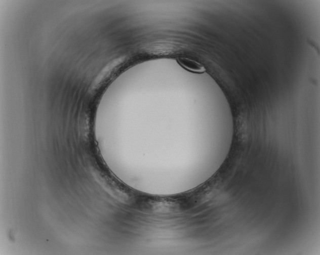 X0000103470400200809261909