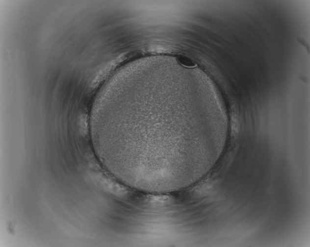 X0000103470401200809261909