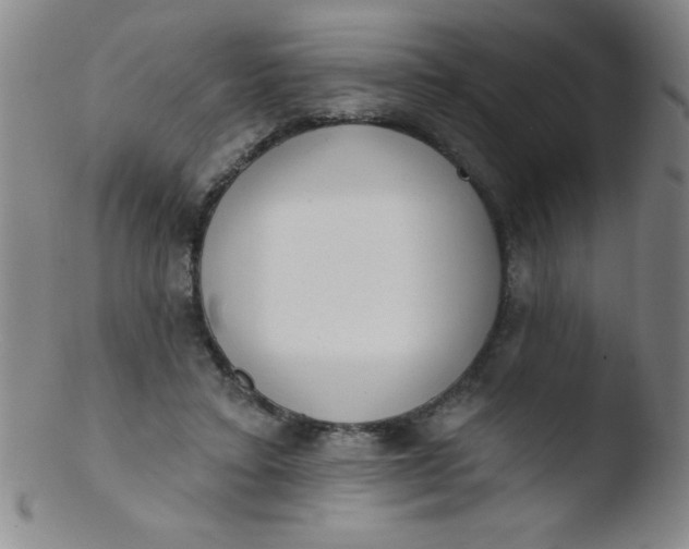 X0000103470403200809261909